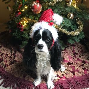 Meet your Posher, Cathy